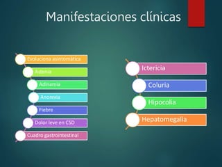Manifestaciones clínicas
Evoluciona asintomática
Astenia
Adinamia
Anorexia
Fiebre
Dolor leve en CSD
Cuadro gastrointestinal
Ictericia
Coluria
Hipocolia
Hepatomegalia
 