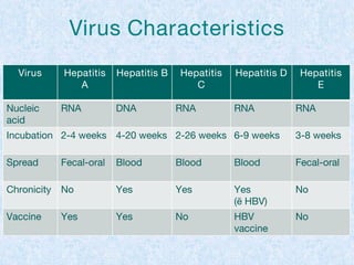 Virus Characteristics
Virus Hepatitis
A
Hepatitis B Hepatitis
C
Hepatitis D Hepatitis
E
Nucleic
acid
RNA DNA RNA RNA RNA
Incubation 2-4 weeks 4-20 weeks 2-26 weeks 6-9 weeks 3-8 weeks
Spread Fecal-oral Blood Blood Blood Fecal-oral
Chronicity No Yes Yes Yes
(ē HBV)
No
Vaccine Yes Yes No HBV
vaccine
No
 