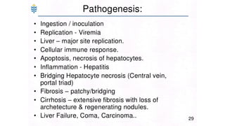Acute and chronic Hepatitis MBBS second year .pptx