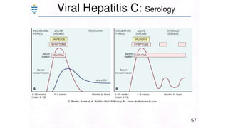 Acute and chronic Hepatitis MBBS second year .pptx