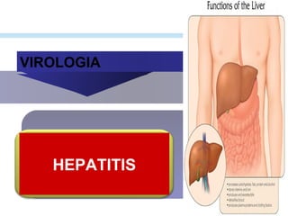 VIROLOGIA
HEPATITIS
 