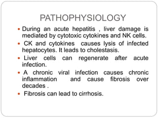 PATHOPHYSIOLOGY
 During an acute hepatitis , liver damage is
mediated by cytotoxic cytokines and NK cells.
 CK and cytokines causes lysis of infected
hepatocytes. It leads to cholestasis.
 Liver cells can regenerate after acute
infection.
 A chronic viral infection causes chronic
inflammation and cause fibrosis over
decades .
 Fibrosis can lead to cirrhosis.
 