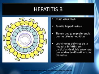 Hepatitis ok