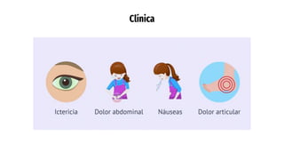 Clínica
 
