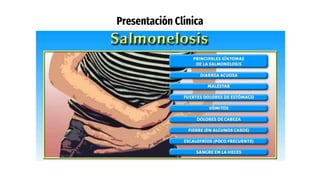 Presentación Clínica
 
