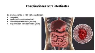 Complicaciones Extra intestinales
Se producen entre el 10%-15%. pueden ser:
● sangrado
● perforación gastrointestinal
● encefalopatía tifoidea (3%-5%)
● hepatitis con o sin colestasis (26%)
 