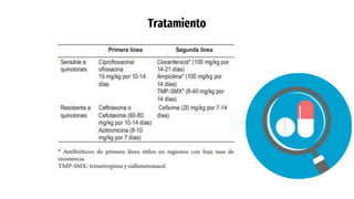 Tratamiento
 