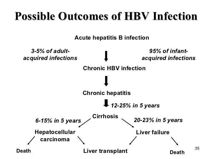 Hepatitis Ppt Final