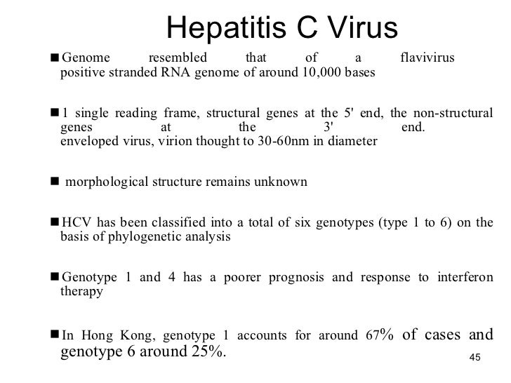 Hepatitis Ppt Final