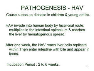 11
PATHOGENESIS - HAV
Cause subacute disease in children & young adults.
HAV invade into human body by fecal-oral route,
multiplies in the intestinal epithelium & reaches
the liver by hematogenous spread.
After one week, the HAV reach liver cells replicate
within.Then enter intestine with bile and appear in
feces.
Incubation Period : 2 to 6 weeks.
 