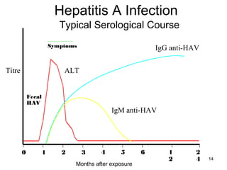 14
Fecal
HAV
Symptoms
0 1 2 3 4 5 6 1
2
2
4
Hepatitis A Infection
IgG anti-HAV
Titre ALT
IgM anti-HAV
Months after exposure
Typical Serological Course
 