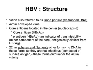20
HBV : Structure
• Virion also referred to as Dane particle (ds-tranded DNA)
• 42nm enveloped virus
• Core antigens located in the center (nucleocapsid)
* Core antigen (HBcAg)
* e antigen (HBeAg)- an indicator of transmissibility
(minor component of the core- antigenically distinct from
HBcAg)
• 22nm spheres and filaments other forms- no DNA in
these forms so they are not infectious (composed of
surface antigen)- these forms outnumber the actual
virions
 