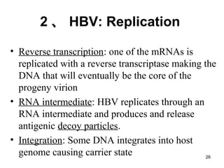 26
2 、 HBV: Replication
• Reverse transcription: one of the mRNAs is
replicated with a reverse transcriptase making the
DNA that will eventually be the core of the
progeny virion
• RNA intermediate: HBV replicates through an
RNA intermediate and produces and release
antigenic decoy particles.
• Integration: Some DNA integrates into host
genome causing carrier state
 
