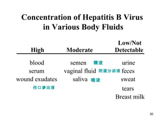 30
High Moderate
Low/Not
Detectable
blood semen urine
serum vaginal fluid feces
wound exudates saliva sweat
tears
Breast milk
Concentration of Hepatitis B Virus
in Various Body Fluids
伤口渗出液
唾液
精液
阴道分泌液
 