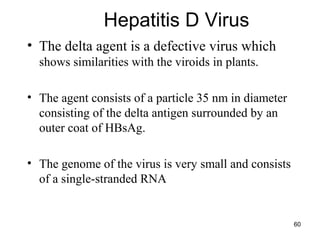 60
Hepatitis D Virus
• The delta agent is a defective virus which
shows similarities with the viroids in plants.
• The agent consists of a particle 35 nm in diameter
consisting of the delta antigen surrounded by an
outer coat of HBsAg.
• The genome of the virus is very small and consists
of a single-stranded RNA
 