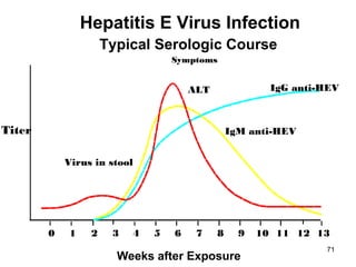 71
Symptoms
ALT IgG anti-HEV
IgM anti-HEV
Virus in stool
0 1 2 3 4 5 6 7 8 9 10 11 12 13
Hepatitis E Virus Infection
Typical Serologic Course
Titer
Weeks after Exposure
 