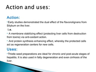 Action:
Early studies demonstrated the dual effect of the flavonolignans from
Silybum on the liver.
i.e.
 A membrane stabilizing effect (protecting liver cells from destruction
from toxins) via anti-oxidant action.
 And protein synthesis enhancing effect, whereby the protected cells
act as regeneration centers for new cells.
Uses:
Thistle seed preparations are ideal for chronic and post-acute stages of
hepatitis. It is also used in fatty degeneration and even cirrhosis of the
liver.
 