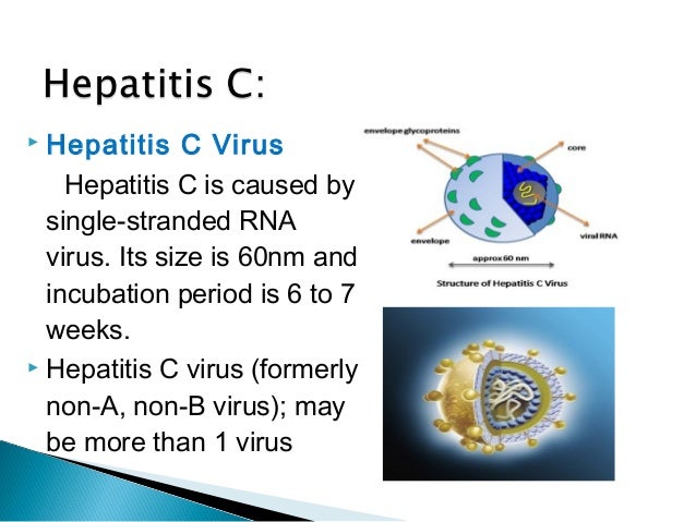 Hepatitis C And Its Treatment Hepatitis C And Its Treatment