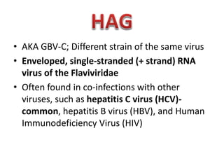 • AKA GBV-C; Different strain of the same virus
• Enveloped, single-stranded (+ strand) RNA
virus of the Flaviviridae
• Often found in co-infections with other
viruses, such as hepatitis C virus (HCV)common, hepatitis B virus (HBV), and Human
Immunodeficiency Virus (HIV)

 