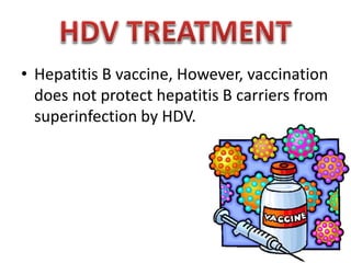 • Hepatitis B vaccine, However, vaccination
does not protect hepatitis B carriers from
superinfection by HDV.

 