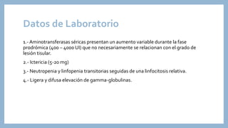 Datos de Laboratorio
1.- Aminotransferasas séricas presentan un aumento variable durante la fase
prodrómica (400 – 4000 UI) que no necesariamente se relacionan con el grado de
lesión tisular.
2.- Ictericia (5-20 mg)
3.- Neutropenia y linfopenia transitorias seguidas de una linfocitosis relativa.
4.- Ligera y difusa elevación de gamma-globulinas.
 