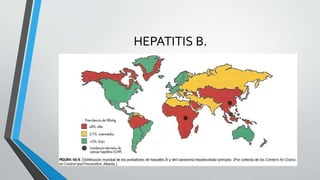 HEPATITIS B.
 