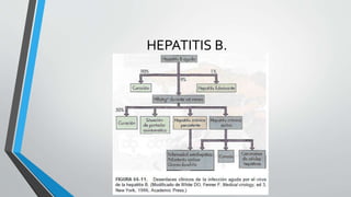 HEPATITIS B.
 
