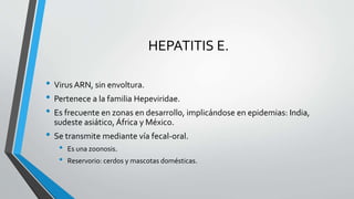 HEPATITIS E.
• Virus ARN, sin envoltura.
• Pertenece a la familia Hepeviridae.
• Es frecuente en zonas en desarrollo, implicándose en epidemias: India,
sudeste asiático, África y México.
• Se transmite mediante vía fecal-oral.
• Es una zoonosis.
• Reservorio: cerdos y mascotas domésticas.
 