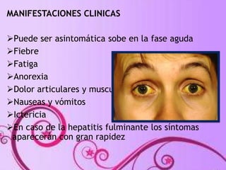 MANIFESTACIONES CLINICAS 
Puede ser asintomática sobe en la fase aguda 
Fiebre 
Fatiga 
Anorexia 
Dolor articulares y musculares 
Nauseas y vómitos 
Ictericia 
En caso de la hepatitis fulminante los síntomas 
aparecerán con gran rapidez 
 