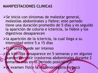 MANIFESTACIONES CLINICAS 
Se inicia con síntomas de malestar general, 
molestias abdominales y fiebre; este periodo 
tiene una duración promedio de 5 días y es seguido 
la aparición de coluria e ictericia, la fiebre y los 
digestivos desaparecen 
la aparición de la ictericia, la cual llega a su 
intensidad entre 5 a 15 días 
El prurito puede ser intenso 
La ictericia desaparece en 5 semanas y en algunos 
pueden persistir trastornos abdominales durante 2 
semanas más en el periodo posictérico. 
Al examen físico la esplenomegalia es poco 
 