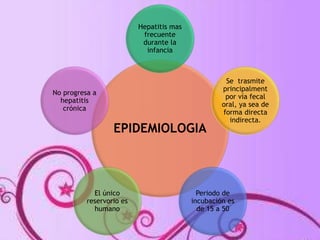 Hepatitis mas 
frecuente 
durante la 
infancia 
EPIDEMIOLOGIA 
Se trasmite 
principalment 
por vía fecal 
oral, ya sea de 
forma directa 
indirecta. 
Periodo de 
incubación es 
de 15 a 50 
No progresa a 
El único 
reservorio es 
humano 
hepatitis 
crónica 
 