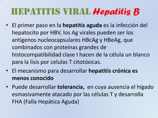 HEPATITIS VIRAL Hepatitis B
• El primer paso en la hepatitis aguda es la infección del
hepatocito por HBV, los Ag virales pueden ser los
antigenos nucleocapsulares HBcAg y HBeAg, que
combinados con proteínas grandes de
histocompatibilidad clase I hacen de la célula un blanco
para la lisis por celulas T citotóxicas.
• El mecanismo para desarrollar hepatitis crónica es
menos conocido
• Puede desarrollar tolerancia, en cuya ausencia el hígado
esmasivamente atacado por las células T y desarrolla
FHA (Falla Hepática Aguda)
 