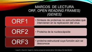 MARCOS DE LECTURA
ORF, OPEN READING FRAMES)
(GENES)
• Síntesis de proteínas no estructurales que
intervienen en la replicación del virusORF1
• Proteína de la nucleocápsideORF2
• proteína estructural cuya función aún se
desconoceORF3
Longo D. L, Fauci A.S, Casper D.L. Harrison principios de medicina interna. 18ª ed. Mexico. Mc Graw Hill.2012
 