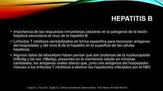 HEPATITIS B
• Importancia de las respuestas inmunitarias celulares en la patogenia de la lesión
hepática secundaria al virus de la hepatitis B.
• Linfocitos T citoliticos sensibilizados en forma especifica para reconocer antigenos
del hospedador y del virus B de la hepatitis en la superficie de las células
hepáticas.
• Algunos datos de laboratorio hacen pensar que son proteínas de la nucleocapside
(HBcAg y tal vez, HBeAg), presentes en la membrana celular en mínimas
cantidades, los antigenos virales blanco que, junto con antigenos del hospedador,
inducen a los linfocitos T citolíticos a destruir los hepatocitos infectados por el HBV
Longo D. L, Fauci A.S, Casper D.L. Harrison principios de medicina interna. 18ª ed. Mexico. Mc Graw Hill.2012
 