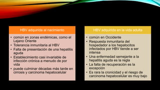 HBV adquirida al nacimiento
• común en zonas endémicas, como el
Lejano Oriente
• Tolerancia inmunitaria al HBV
• Falta de presentación de una hepatitis
aguda
• Establecimiento casi invariable de
infección crónica a menudo de por
vida
• puede culminar décadas más tarde en
cirrosis y carcinoma hepatocelular
HBV adquirida en la vida adulta
• común en Occidente
• Respuesta inmunitaria del
hospedador a los hepatocitos
infectados por HBV tiende a ser
intensa
• Una enfermedad semejante a la
hepatitis aguda es la regla
• La falta de recuperación es la
excepción
• Es rara la cronicidad y el riesgo de
carcinoma hepatocelular es muy bajo
 