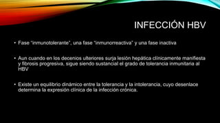 INFECCIÓN HBV
• Fase “inmunotolerante”, una fase “inmunorreactiva” y una fase inactiva
• Aun cuando en los decenios ulteriores surja lesión hepática clínicamente manifiesta
y fibrosis progresiva, sigue siendo sustancial el grado de tolerancia inmunitaria al
HBV
• Existe un equilibrio dinámico entre la tolerancia y la intolerancia, cuyo desenlace
determina la expresión clínica de la infección crónica.
 