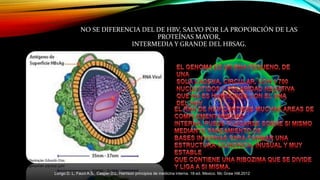 NO SE DIFERENCIA DEL DE HBV, SALVO POR LA PROPORCIÓN DE LAS
PROTEÍNAS MAYOR,
INTERMEDIA Y GRANDE DEL HBSAG.
Longo D. L, Fauci A.S, Casper D.L. Harrison principios de medicina interna. 18ª ed. Mexico. Mc Graw Hill.2012
 