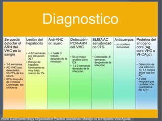 Diagnostico
Se puede
detectar el
ARN del
VHC en la
sangre
• 1-3 semanas
• AC-VHC son
detectados
50-70% de los
casos
• 90% después
de 3 meses
Comienzo los
síntomas
Lesión del
hepatocito
• 4-12 semanas
por elevación
ALT
• Riesgo de
hepatitis
fulminante es
muy bajo,
menor de 1%.
Anti-VHC
en suero
• + hasta 3
meses
después de la
infección.
Detección-
PCR-ARN
del VHC
• Es el mejor
análisis para
DX
• 1 a 2 semanas
después de la
infección.
ELISA AC
sensibilidad
de 97%
• Detectable -8
semanas
después de la
infección
Anticuerpos
• no confiere
inmunidad.
Proteína del
antígeno
core (Ag
core VHC o
VHCAgc)
• Detección de
una infección
+/- 1.5 meses
antes que los
AC
• 2 días
después que
La detección
cuantitativa
del ARN
World Gastroenterology Organisation Practice Guidelines: Manejo de la Hepatitis Viral Aguda
 