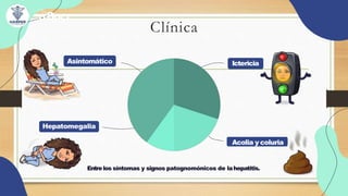 Clínica
Ictericia
Asintomático
Acolia y coluria
Hepatomegalia
Entrelos síntomas y signos patognomónicos de lahepatitis.
 