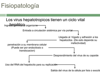 Hepatitis viral aguda | PPTX