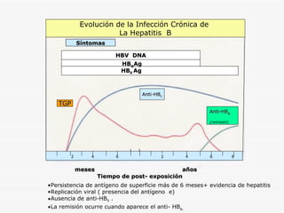 Evolución de la Infección Crónica de  La Hepatitis  B Síntomas HBV  DNA HB S  Ag HB e Ag meses años Tiempo de post- exposición TGP Persistencia de antígeno de superficie más de 6 meses+ evidencia de hepatitis Replicación viral ( presencia del antígeno  e) Ausencia de anti-HB S  .  La remisión ocurre cuando aparece el anti- HB e.   2  4  6  2  4  6  8 Anti-HB c Anti-HB e ( remisión) 