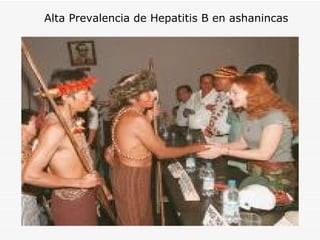 Alta Prevalencia de Hepatitis B en ashanincas 