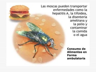 Consumo de  Alimentos en Forma  ambulatoria 
