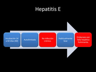 Hepatitis E
Incubación 14
a 60 días (40)
Autolimitada
No infección
crónica.
Habitualmente
leve
Embarazo con
falla hepática
fulminante.
 