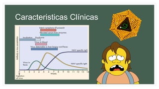 Caracteristicas Clínicas
• Episodio agudo autolimitado no cronificado.
• Incubación: 2 – 4 semanas (hasta 6)
• Caracteristica Clinica MAS FRECUENTE en casos de
hepatitis A: ICTERICIA
• Complicaciones:
• Curso grave o recidivante
• Colestasis grave
• Morbilidad en adultos y niños mayores
• Disfunción hepatocelular grave en adultos y ancianos
 