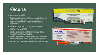 Vacuna
• Autorizada en 1995
• 2 vacunas con virus inactivados, procedente de
VHA obtenido de cultivo celular, purificado,
inactivado con formol y con alumbre como
adyuvante.
• HAVRIX: Cepa HM175 ( Ig duran 20 años )
• VAQTA: Cepa CR326
• Efectos secundarios: Dolor en el lugar de la
inyección, cefalea y malestar.
• Efectos adversos: Guillain-Barré, TPI, elevación
aminotransferasa sérica, convulsiones (niños):
• Ninguno atribuido de forma definitiva a la vacuna.
 
