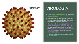 VIROLOGÍA
• VHB: virus ADN pequeño de la familia
Hepadnaviridae.
• Pequeño con un genoma de ADN que
tiene una configuración parcialmente
bicatenaria circular relajada.
• Genoma está compuesto por cuatro
marcos de lectura abiertos (ORF) y
tiene un diseño compacto en el cual
varios genes se solapan y utilizan el
mismo ADN para codificar distintas
proteínas víricas.
• 4 genes del virus: core, superficie, X
y polimerasa.
 