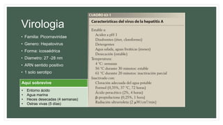 Virologia
• Familia: Picornaviridae
• Genero: Hepatovirus
• Forma: icosaédrica
• Diametro: 27 -28 nm
• ARN sentido positivo
• 1 solo serotipo
Aqui sobrevive Aqui no
• Entorno ácido
• Agua marina
• Heces desecadas (4 semanas)
• Ostras vivas (5 días)
• 85ºC
• 1 minuto
 