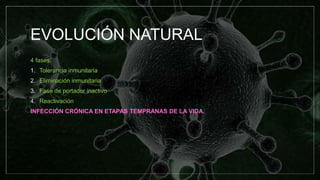 EVOLUCIÓN NATURAL
4 fases:
1. Tolerancia inmunitaria
2. Eliminación inmunitaria
3. Fase de portador inactivo
4. Reactivación
INFECCIÓN CRÓNICA EN ETAPAS TEMPRANAS DE LA VIDA.
 