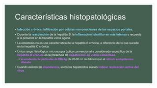 Características histopatológicas
• Infección crónica: infiltración por células mononucleares de los espacios portales.
• Durante la reactivación de la hepatitis B, la inflamación lobulillar es más intensa y recuerda
a la presente en la hepatitis vírica aguda.
• La esteatosis no es una característica de la hepatitis B crónica, a diferencia de lo que sucede
en la hepatitis C crónica.
• Único rasgo histológico: microscopia óptica convencional y considerado específico de la
hepatitis B crónica es la presencia de hepatocitos en vidrio esmerilado.
acumulación de partículas de HBsAg (de 20-30 nm de diámetro) en el retículo endoplásmico
dilatado.
• Cuando existen en abundancia, estos los hepatocitos suelen indicar replicación activa del
virus
 